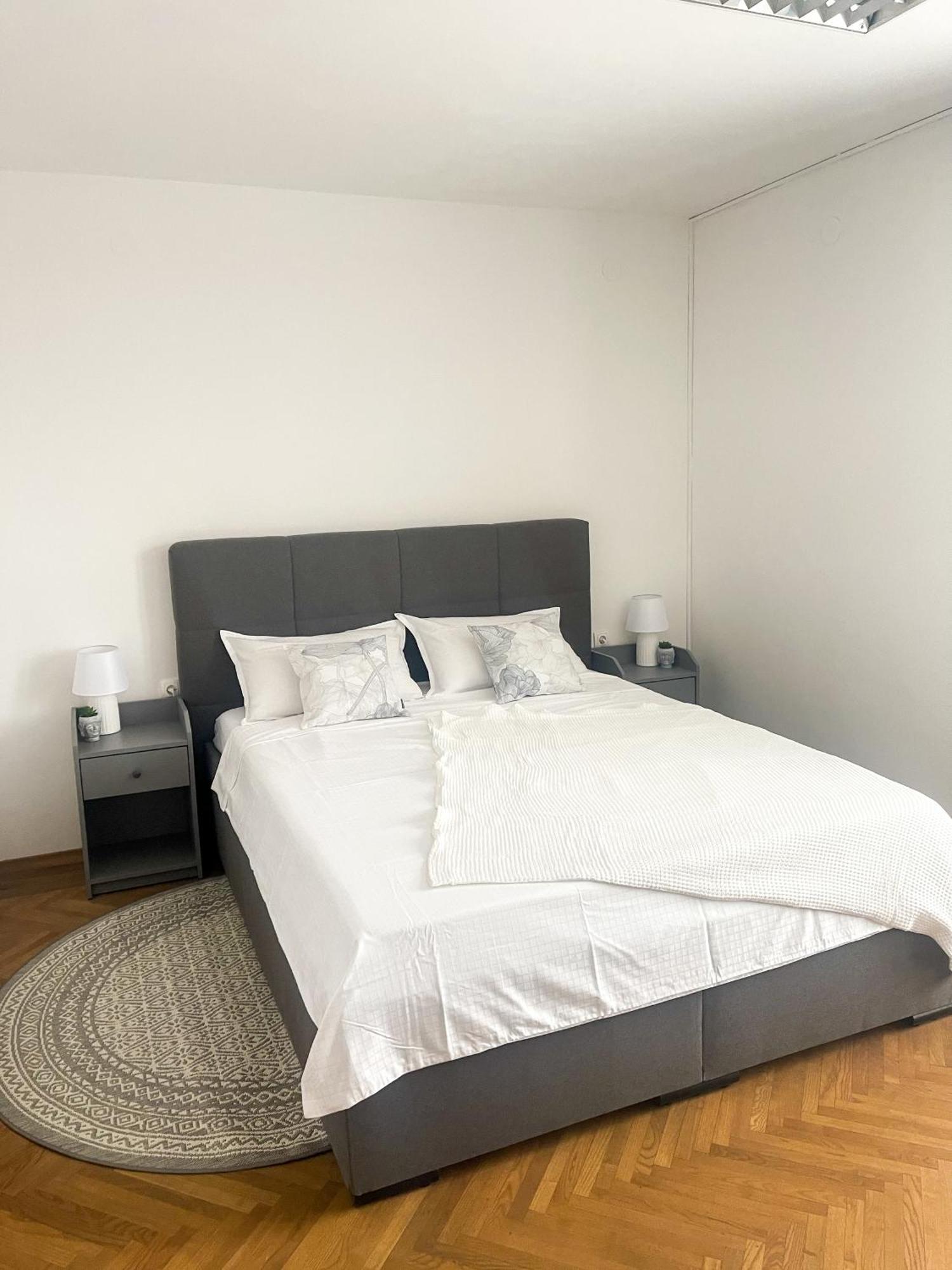 Spacious Cozy Apartment Lubiana Esterno foto