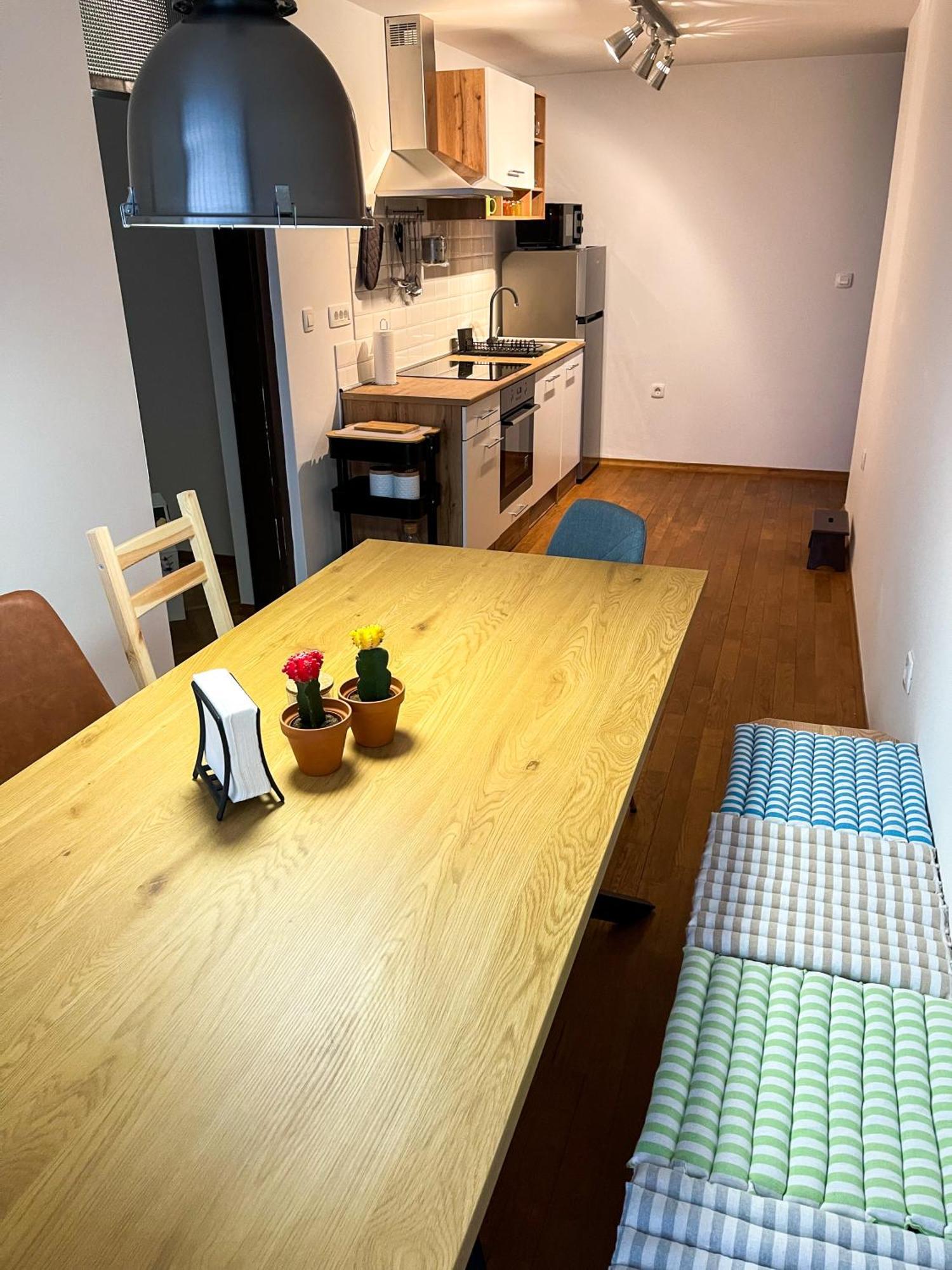 Spacious Cozy Apartment Lubiana Esterno foto